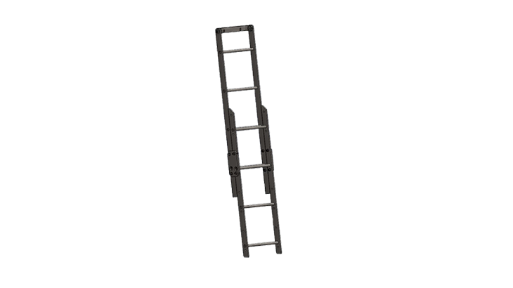 Ladder Options 730 x 410
